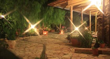 Nature and relaxation