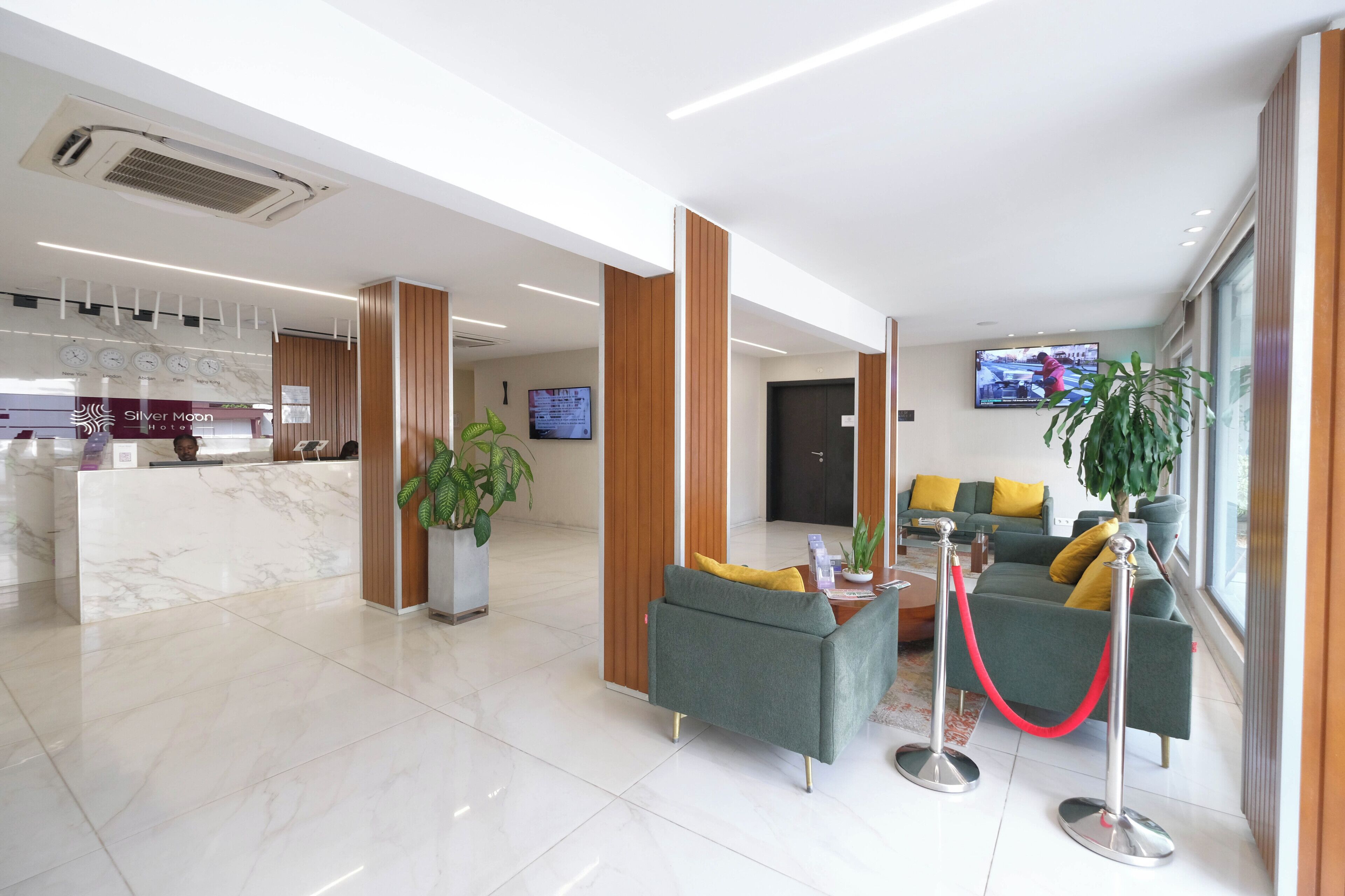 Vestíbulo de hotel con recepción, zona de estar, televisor y una planta.