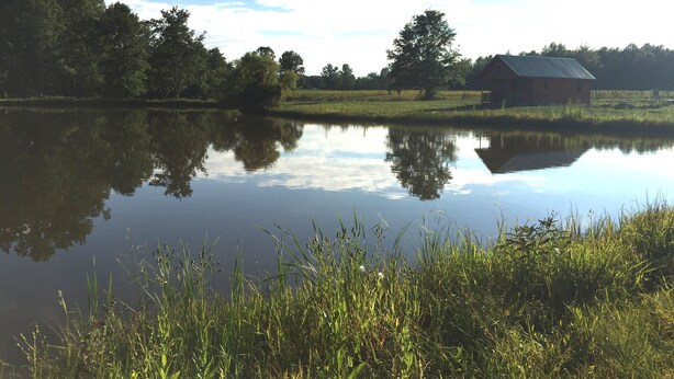 Un lago tranquilo con una casa al fondo.