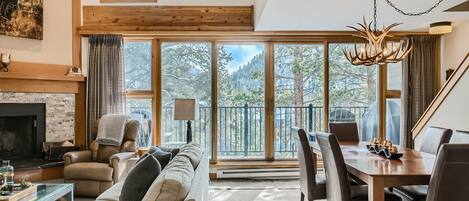 Cheminée, lecteur de DVD, vidéothèque, chaîne hi-fi