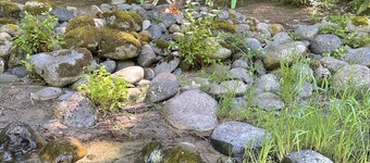 Cozy cabin on the Cedar River