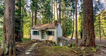 Cozy cabin on the Cedar River