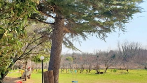 Un parque con un árbol grande, columpios y un camino pavimentado.