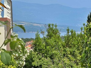 Udsigt fra overnatningsstedet