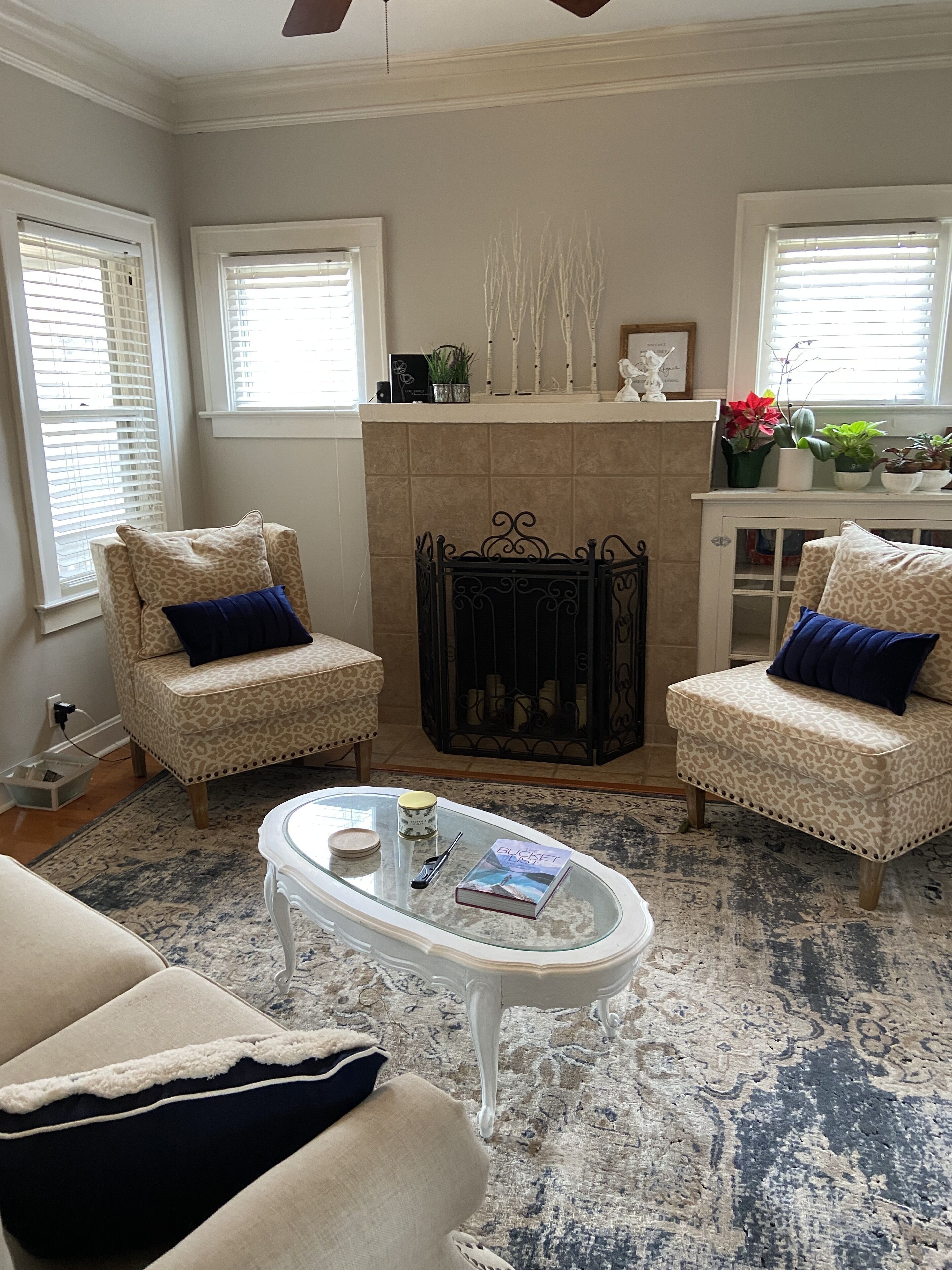 A living room with two leopard print armchairs, a white coffee table, a fireplace, and a bookshelf with plants.