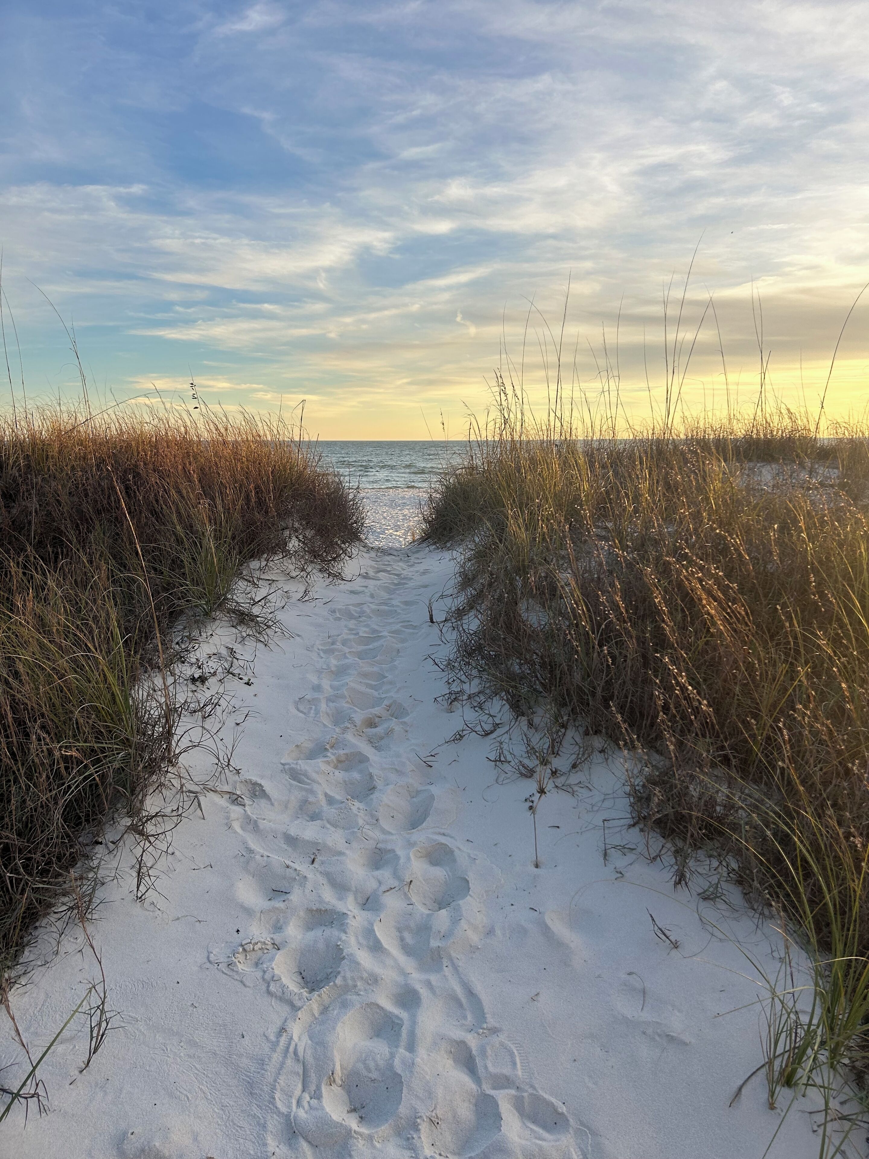 Plage, chaises longues, serviettes de plage