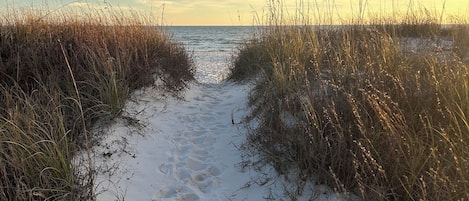 Plage, chaises longues, serviettes de plage