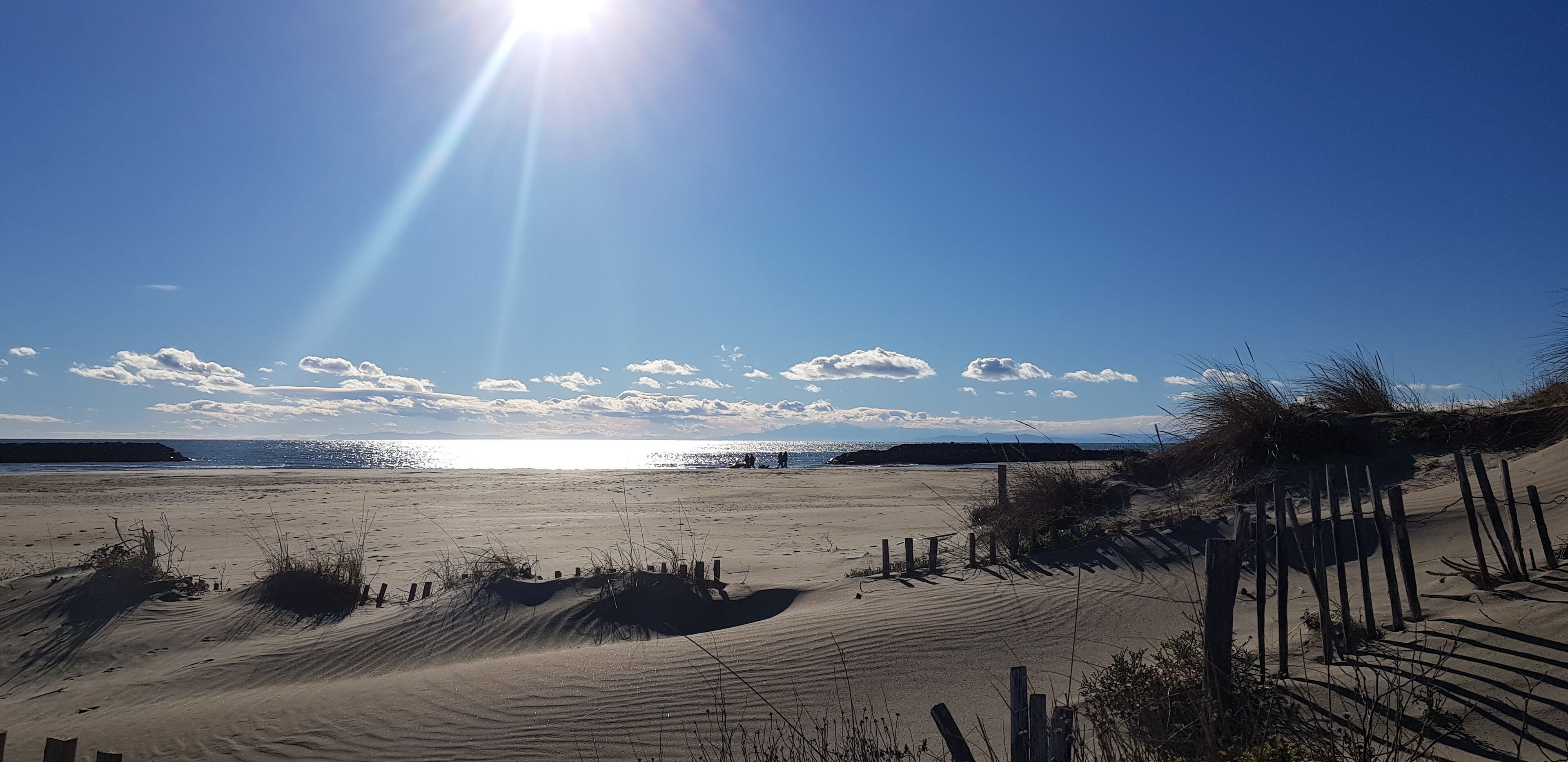 Een strand met duinen, een houten omheining en een helderblauwe lucht.