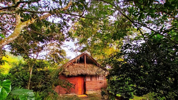 Une cabane rustique à toit de chaume, entourée d’une végétation luxuriante.