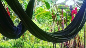 Un hamac suspendu entre deux arbres, dans un jardin luxuriant.