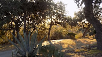 Terrain de l’hébergement