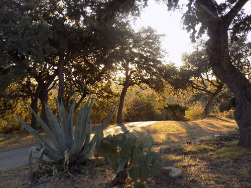 Patriot Cabin at Country Accent Antiques Pipe Creek, TX.