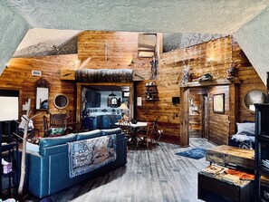 Smart TV, fireplace, DVD player, books