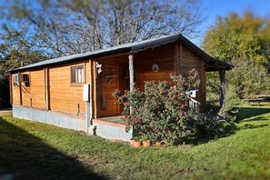 Ulkopuoli