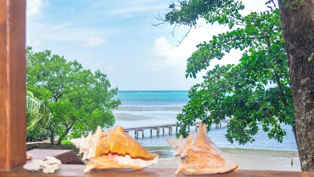 Eine Holzterrasse mit Muscheln und Blick auf den Ozean sowie einen Steg.