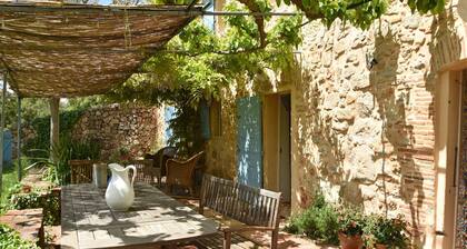 Mas avec grande piscine privée en Provence