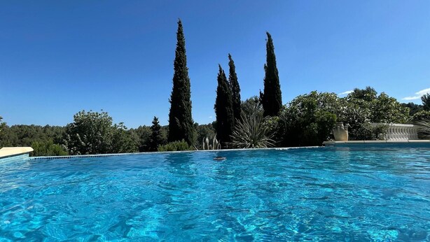 En klar blå pool omgivet af høje træer og en klar himmel.
