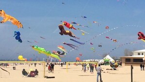 Una playa con numerosos cometas de colores volando en el cielo.