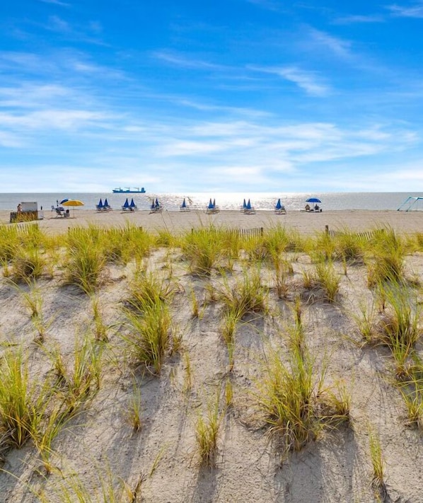A beach with rows of blue umbrellas and lounge chairs, a sandy foreground with grass, and a clear blue sky.