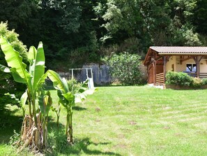 A grassy area with a wooden structure, possibly a cabin or small building, surrounded by dense trees.