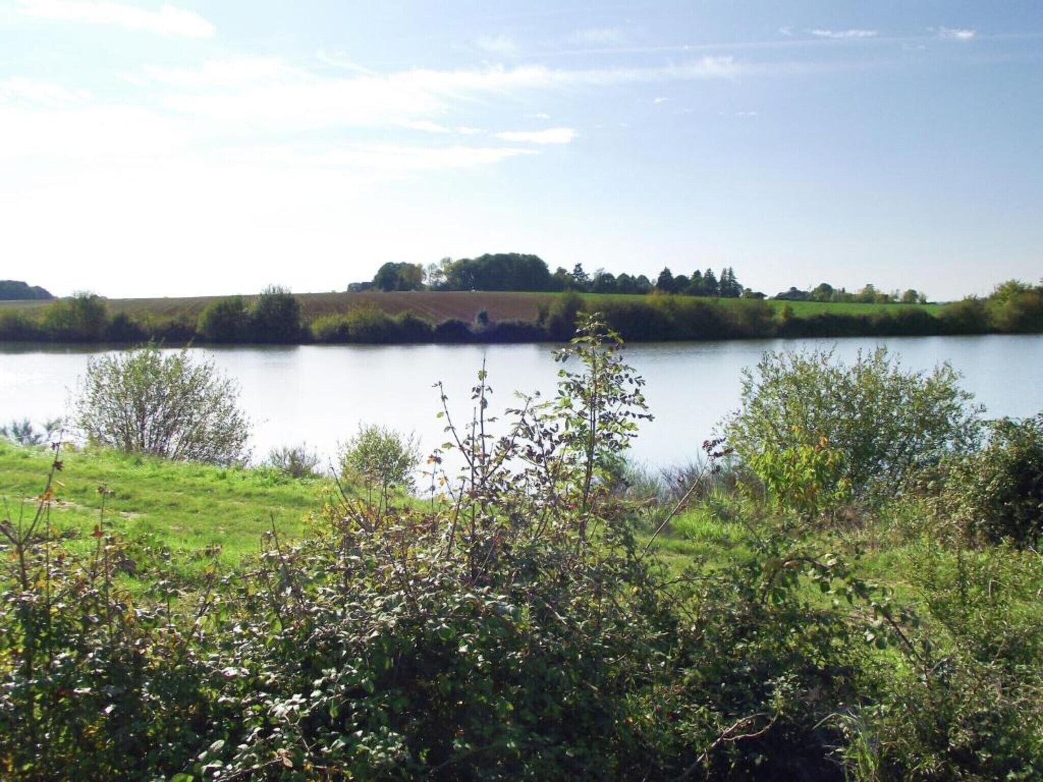 A calm lake with a grassy foreground and a distant tree line.