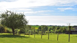 A rural landscape with a large tree and a fenced field.