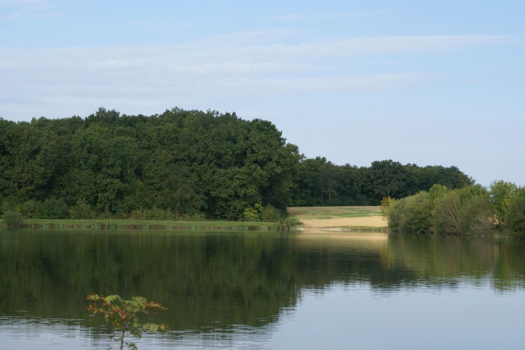 Un lac paisible, avec une colline boisée en arrière-plan.