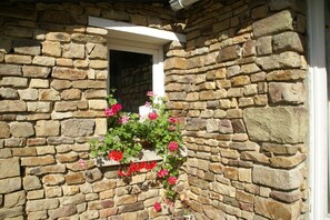 A charming window with a flower box, featuring vibrant blooms and lush foliage.