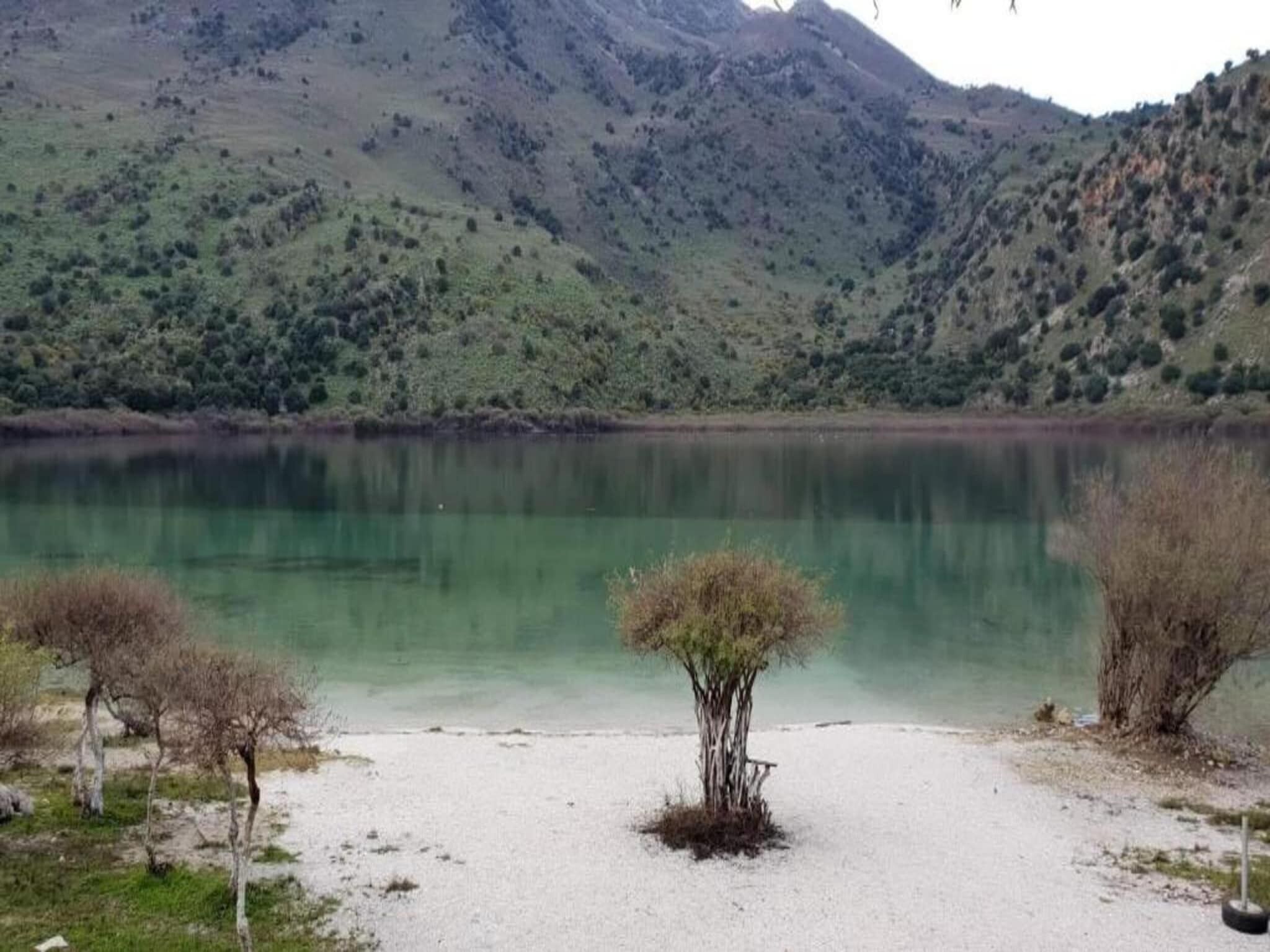 A lake with a small tree in the foreground and mountains in the background.