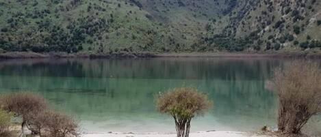 A lake with a small tree in the foreground and mountains in the background.