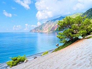 A coastal landscape with a clear blue sea, a sandy beach, and a prominent pine tree.