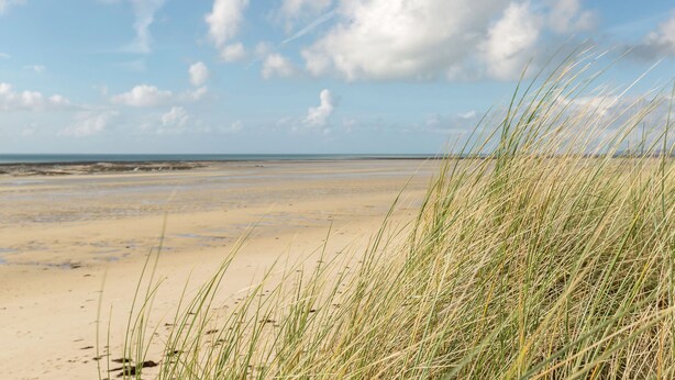 A beach with sand and grass in the foreground, and a clear sky with clouds in the background. - Saint-Germain Beach Bliss (St. Germain-Sur-Ay)