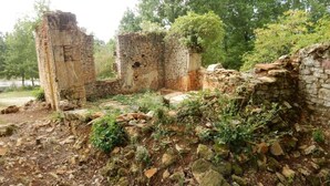An ancient stone structure with ruins, surrounded by trees and overgrown vegetation. - Saint-Germain Beach Bliss (St. Germain-Sur-Ay)