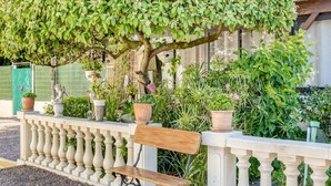 A bench with a railing, surrounded by potted plants and greenery.