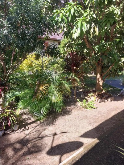 Sibuyan (Romblon) whole house (home office) directly on the beach via Cresta de Gallo, 