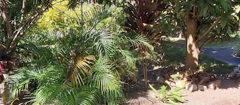 Sibuyan (Romblon) whole house (home office) directly on the beach via Cresta de Gallo,