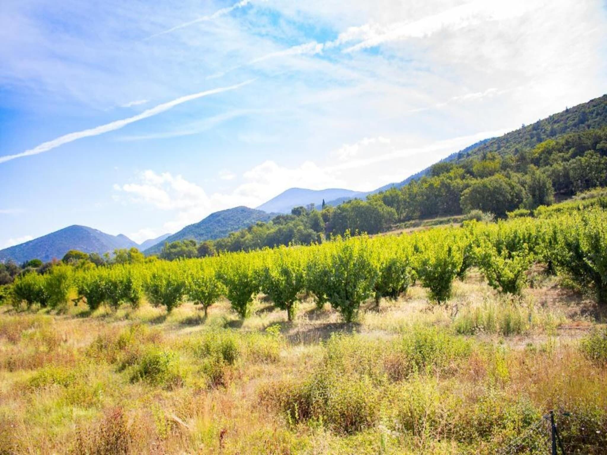 Dans la région [été] (>5 km)