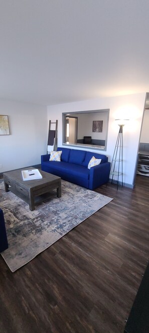 Smart TV, DVD player, video library