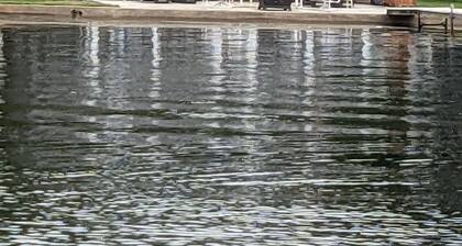 Lake front cottage recently remodeled w/ private dock and optional pontoon boat.