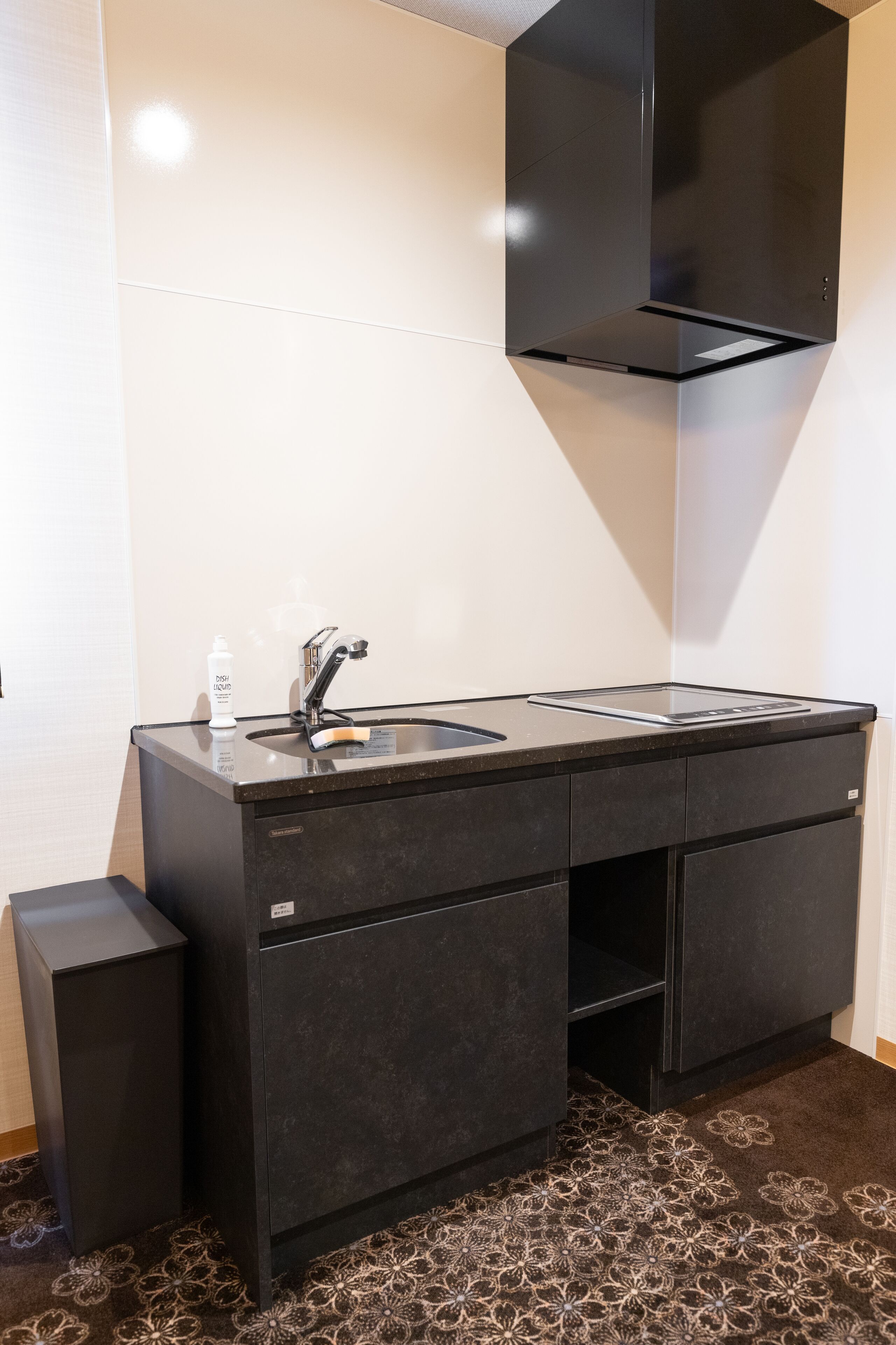 deluxe c non-smoking | private kitchen | fridge, microwave, electric kettle, freezer