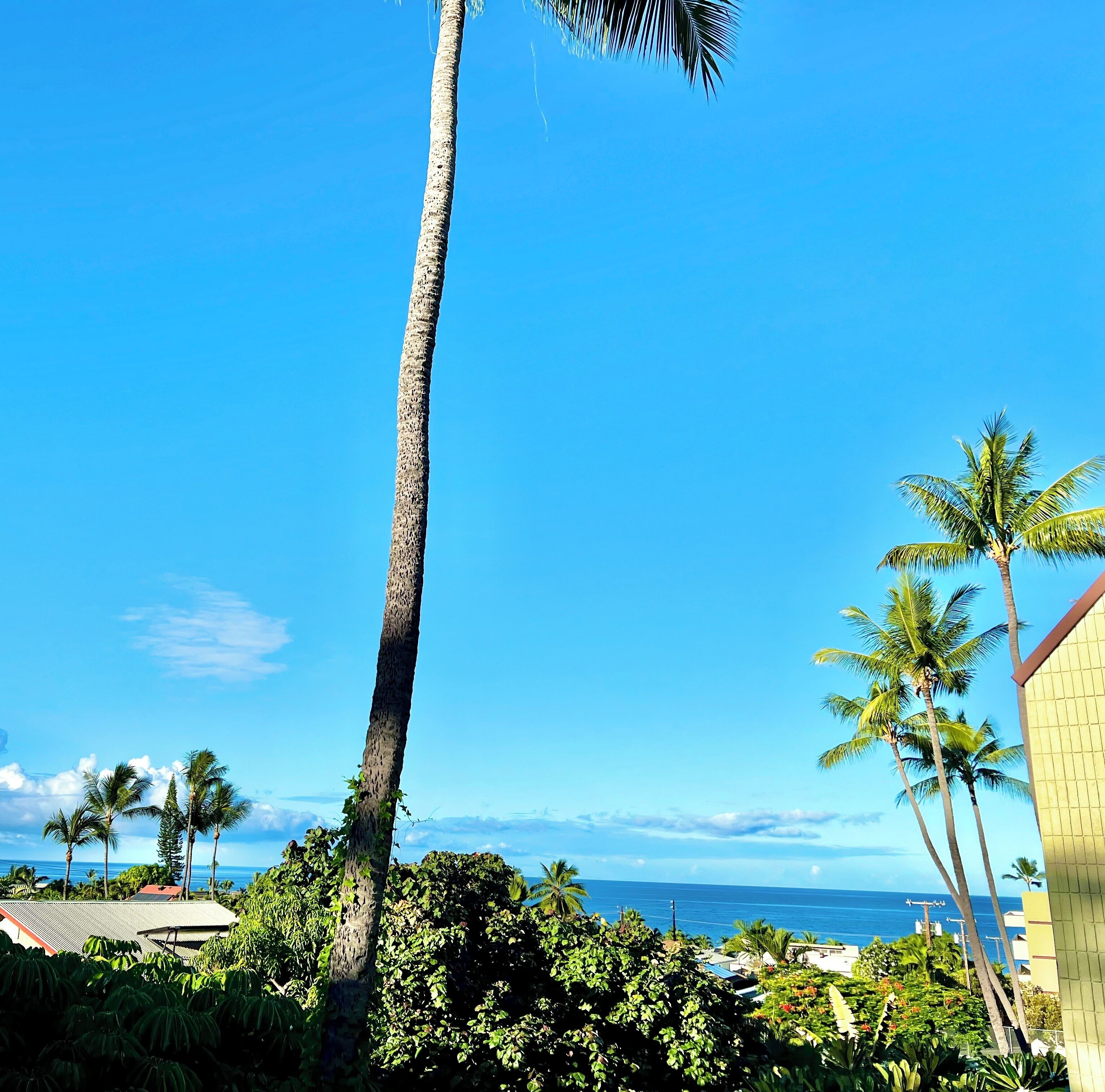 Romantic Lanai - Pics just can’t capture peekaboo ocean view! Uniquely Peaceful!