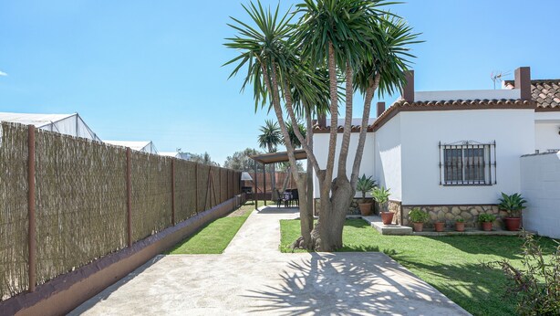 Un patio trasero cercado con un sendero de hormigón, palmeras y un edificio blanco con ventana y pared de piedra.