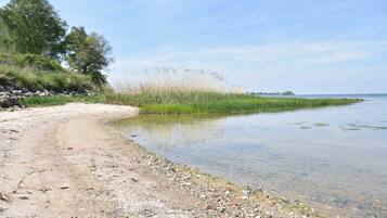 Una spiaggia nelle vicinanze