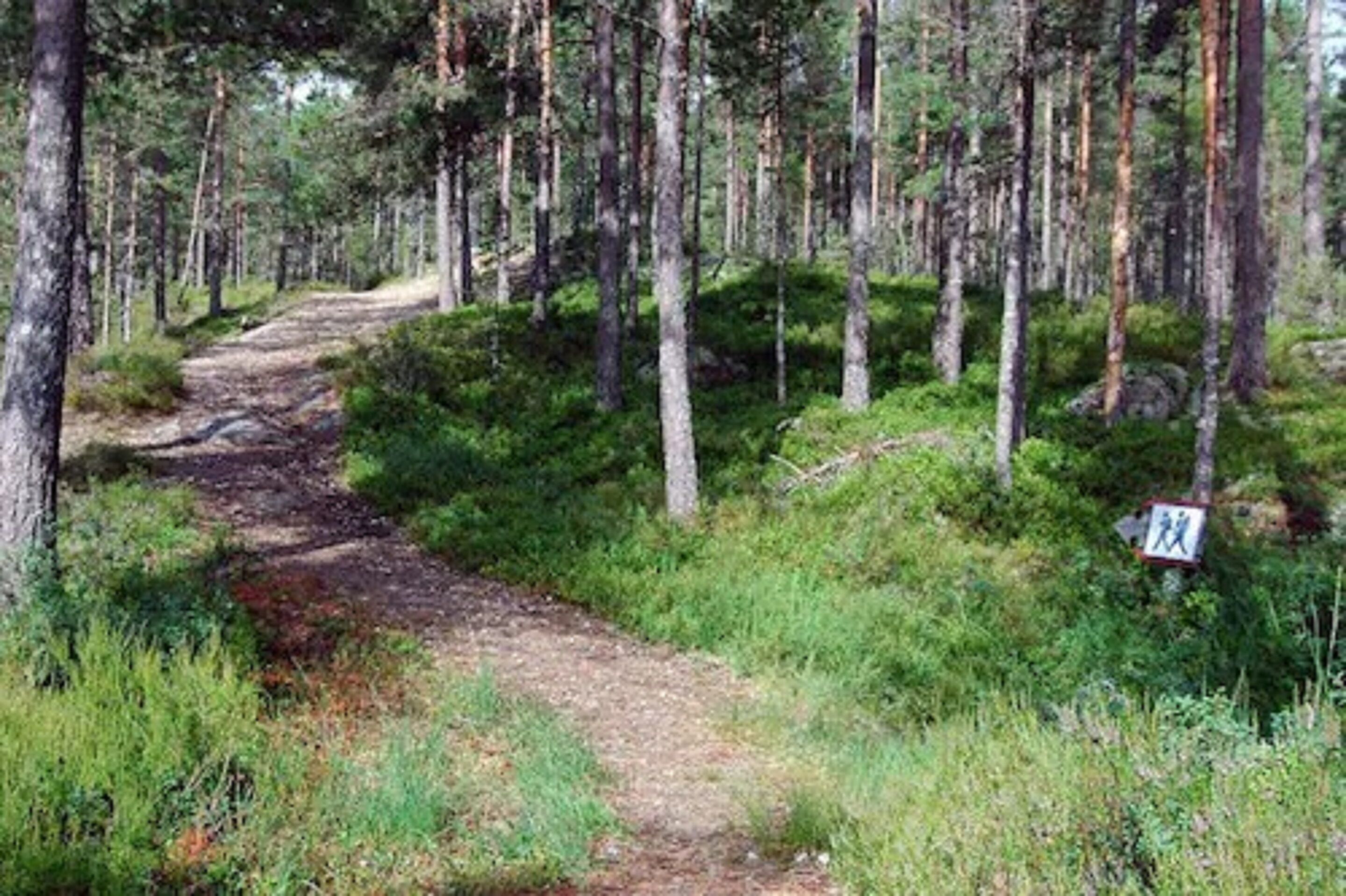 A forested hiking trail with a sign indicating a walking path.