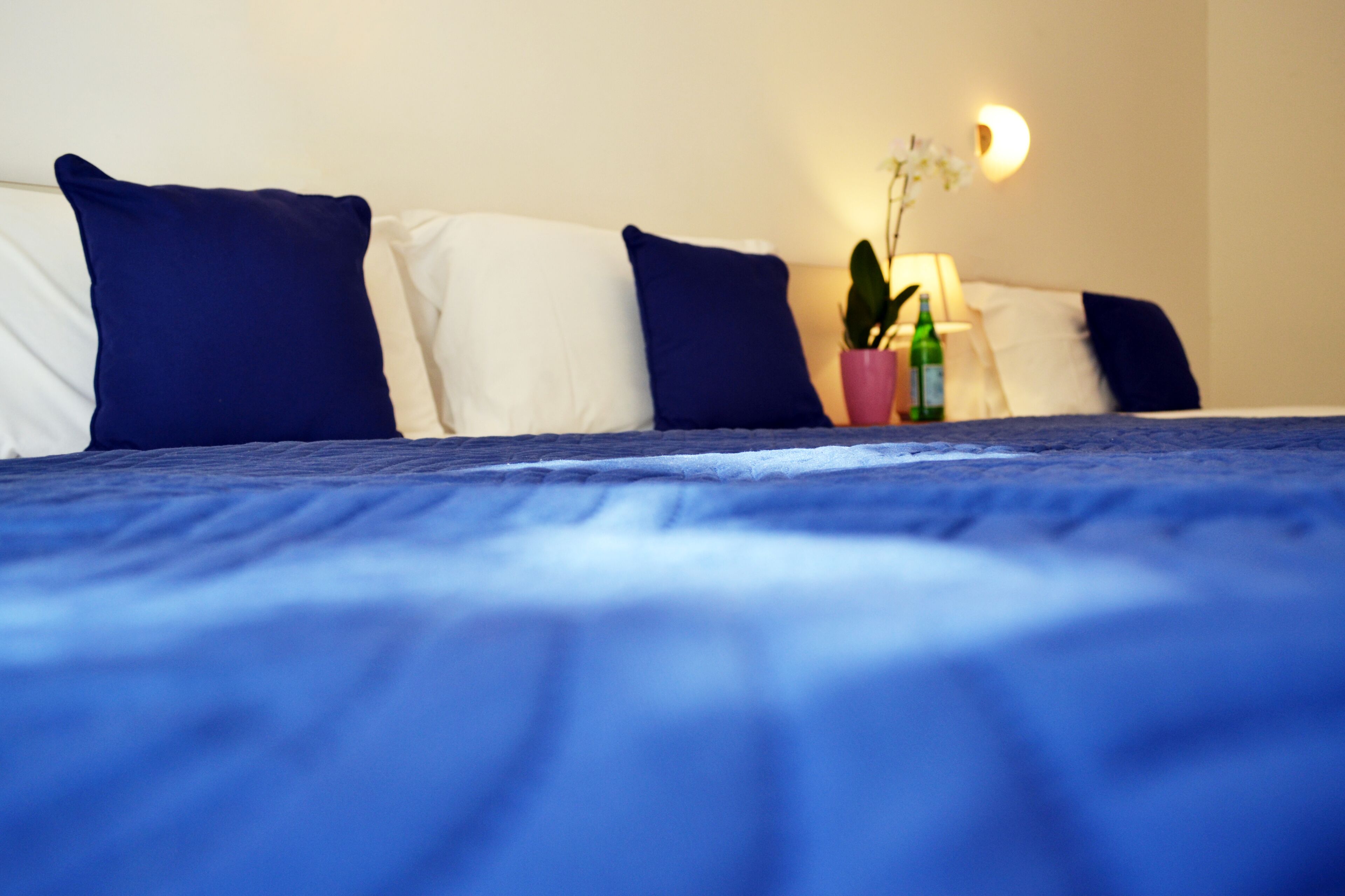 Un lit avec une couvre-lit bleue, des oreillers blancs et bleu marine, une petite plante en pot et une bouteille sur la table de chevet.