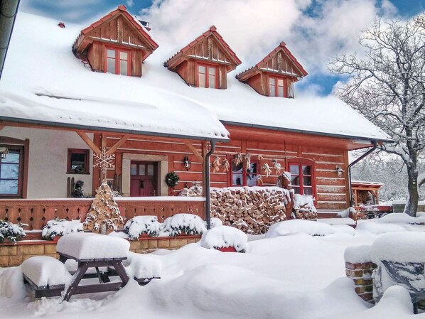 Exterior - Stunning private villa for 24 guests with WIFI, private pool, TV, terrace and pets allowed (Dvur Králové Nad Labem)