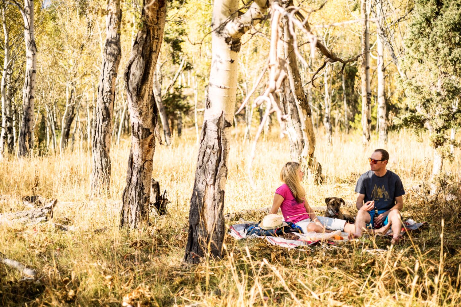 Un couple est assis sur une couverture dans une zone boisée, entouré d’arbres et d’herbe sèche.