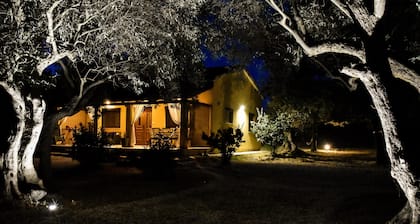 Holiday House Val Vidal