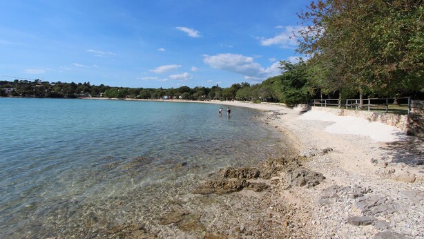 外觀