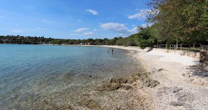 Holiday House Val Vidal